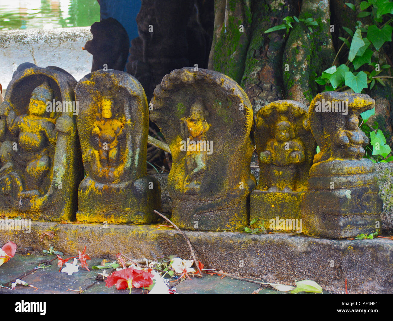 Statuen von Nagas (Schlangen) auf Nagaraja Tempel, Mannasala, Kerala, Indien Stockfoto