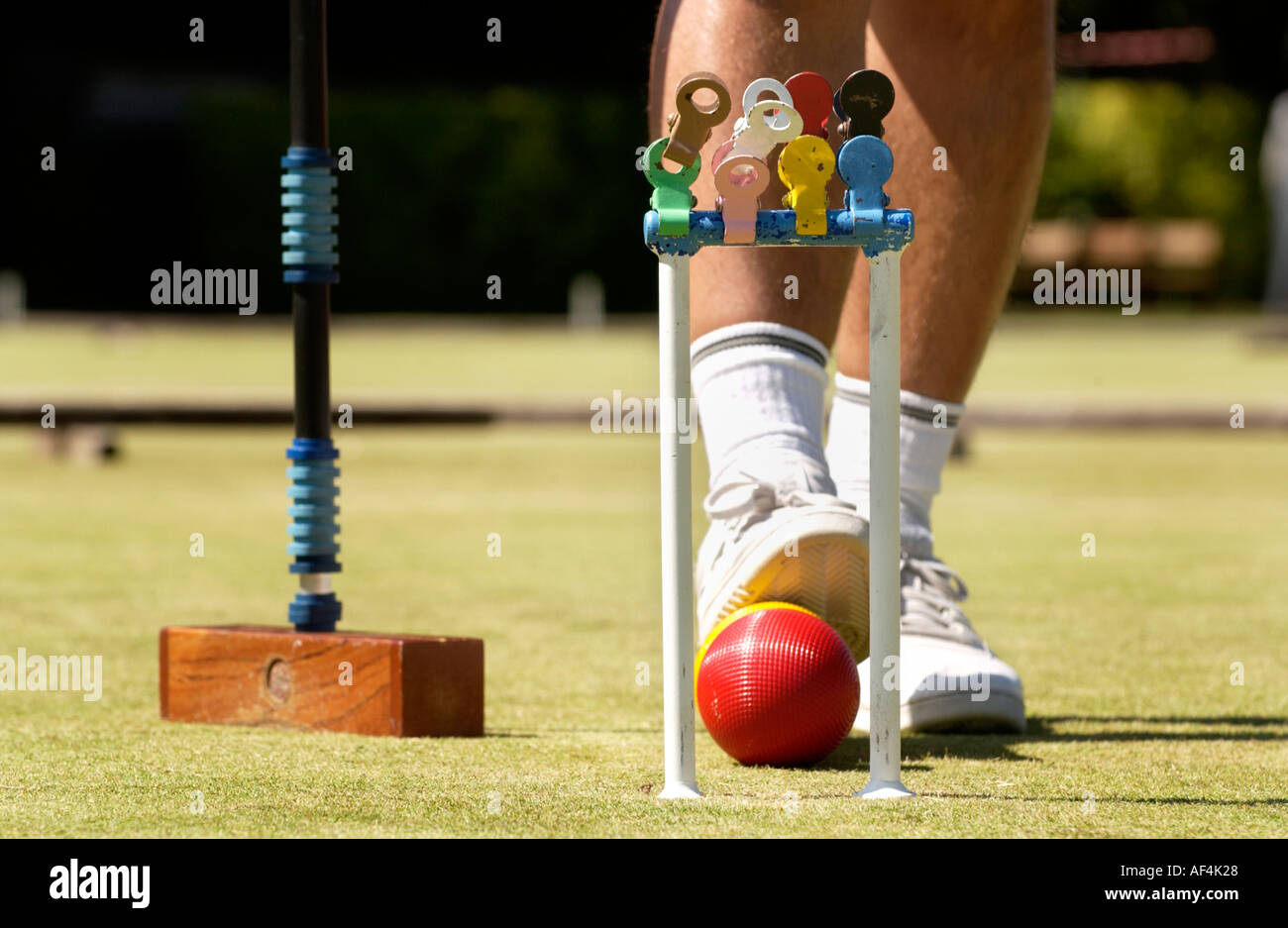 Mann spielen Krocket bei Cheltenham Croquet Club Gloucestershire England UK Stockfoto