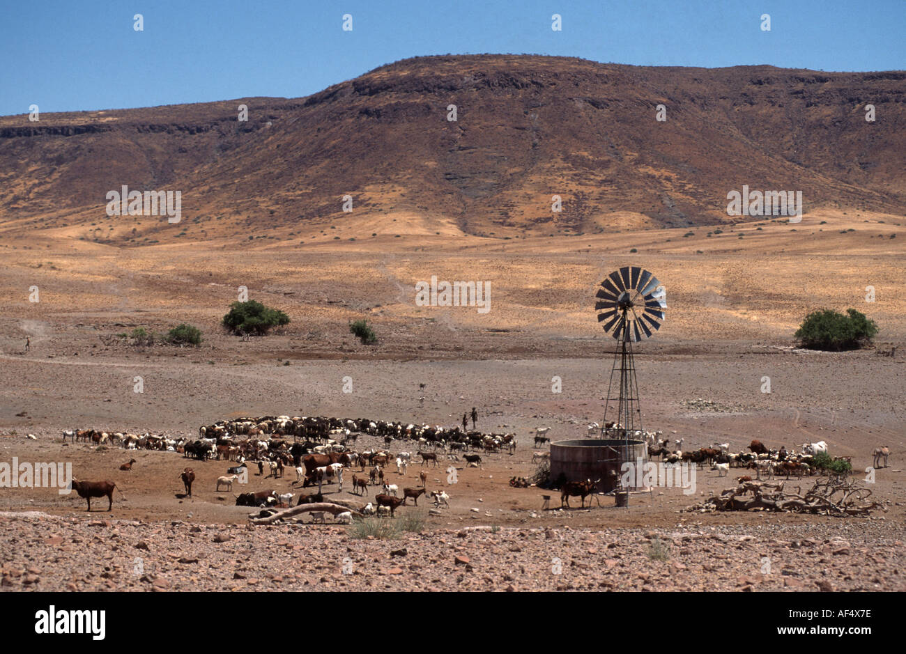 Ein Wind Pumpe und Wasser Damm für das Vieh Himba Norden Namibias Stockfoto
