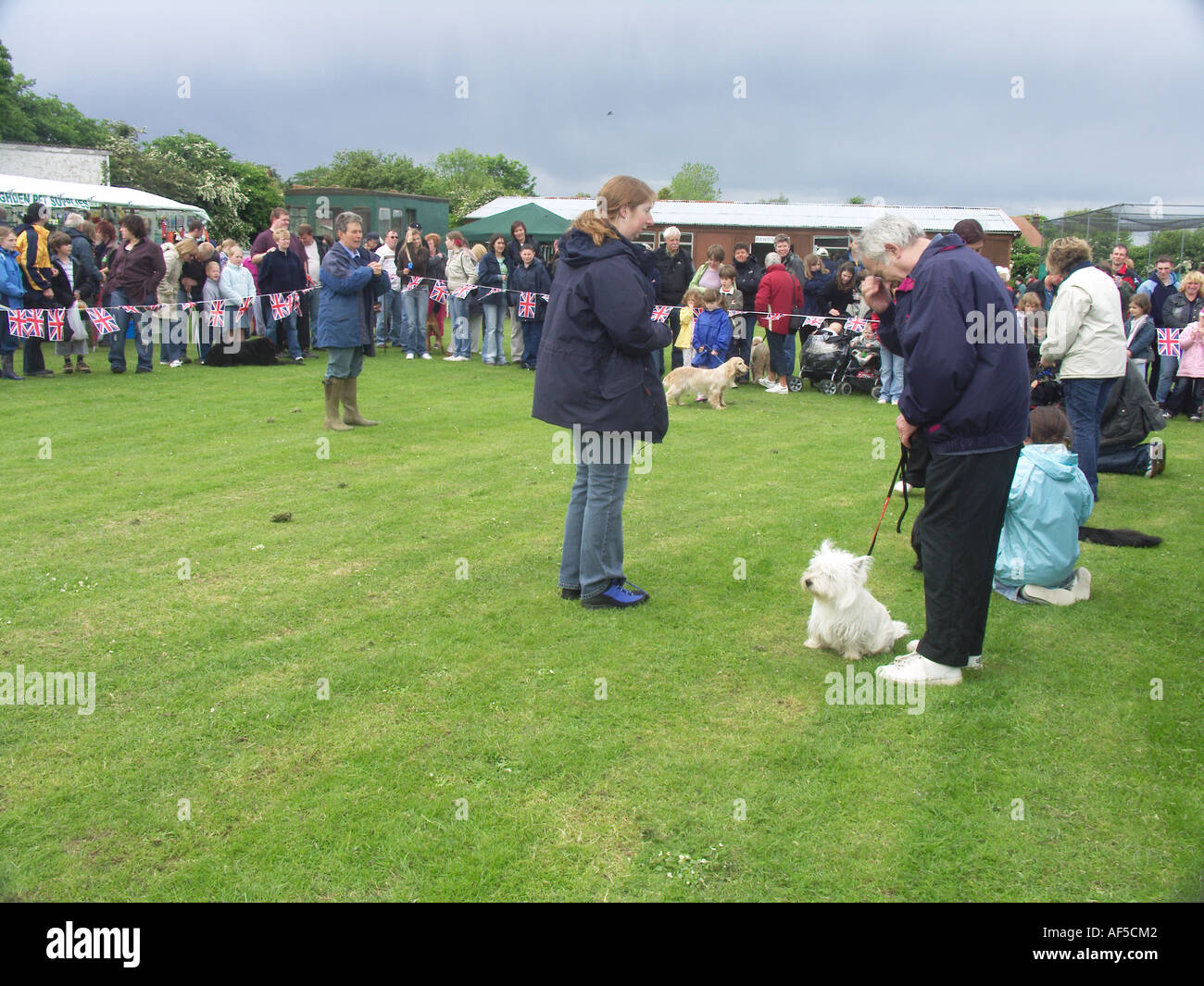 Hundeausstellung Sommerfest Suffolk England Stockfoto