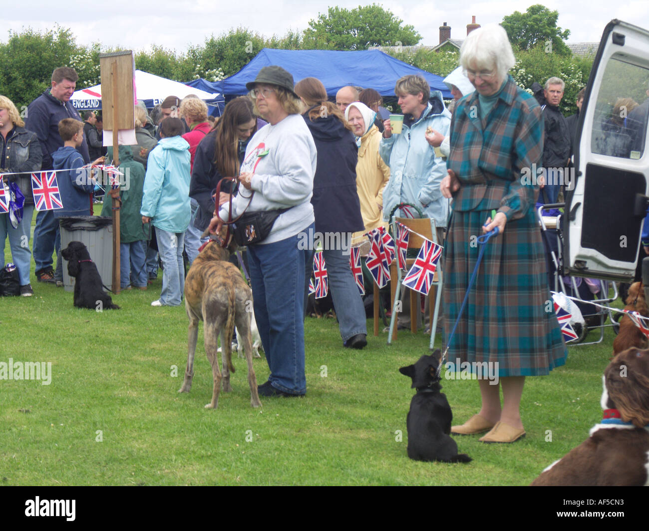 Dog Show Ay Sommerfest Suffolk England Stockfoto