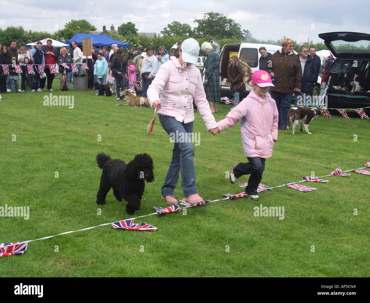 Hundeausstellung am Sommerfest Suffolk England Stockfoto