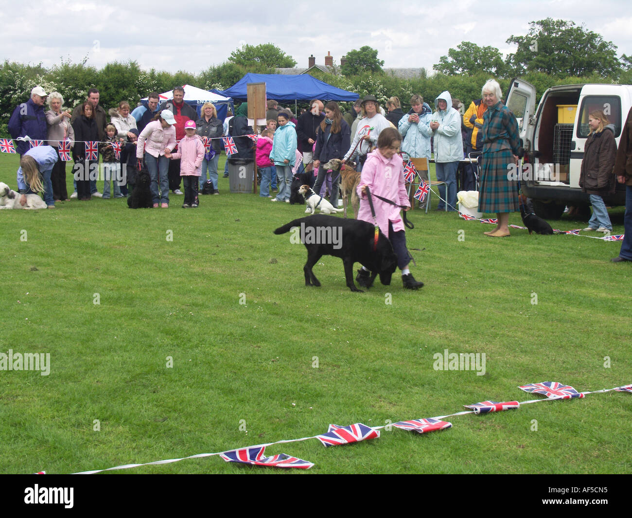 Hundeausstellung am Sommerfest Suffolk England Stockfoto