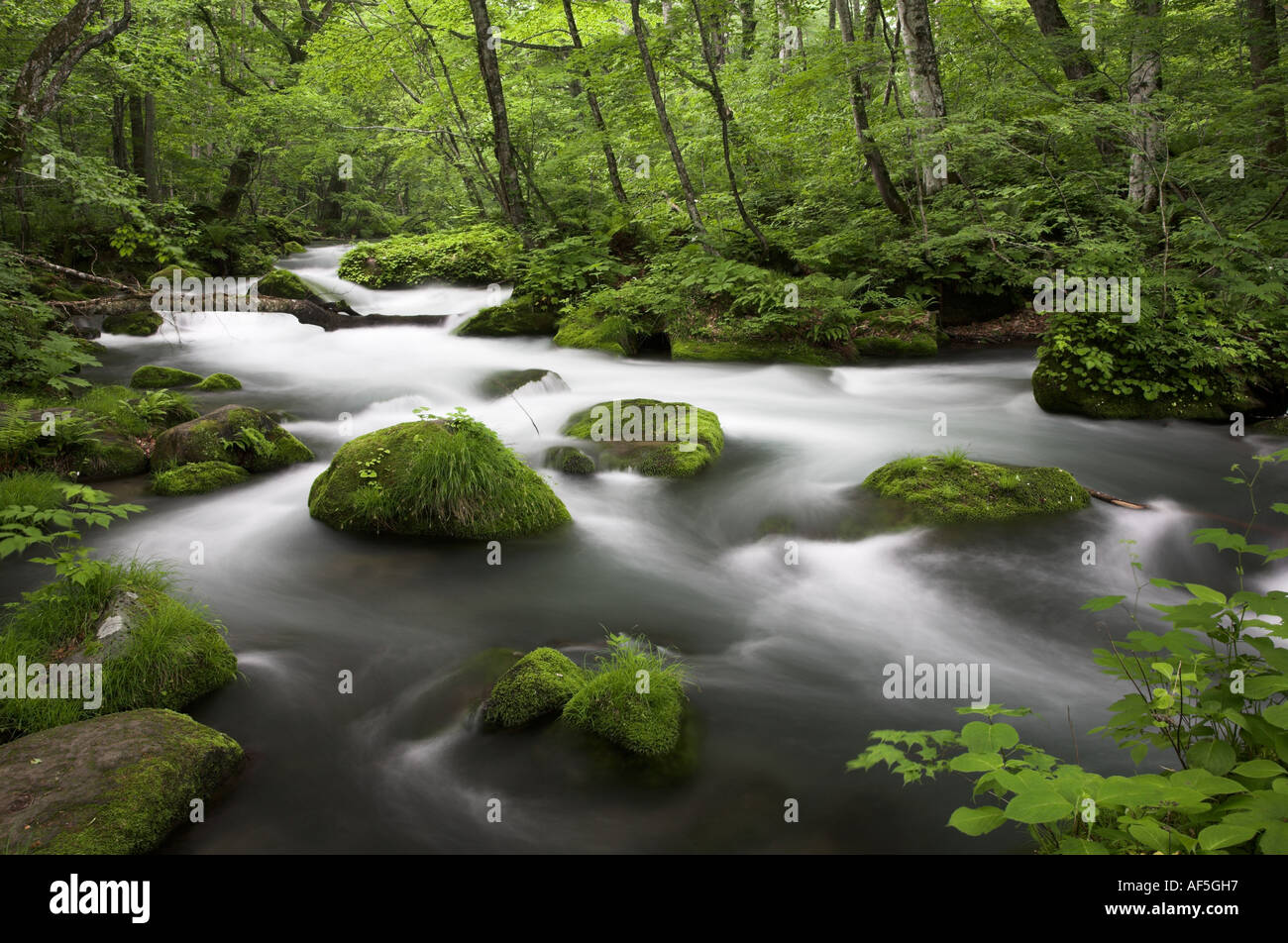 Oirase Schlucht See Towada Towadako Aomori Sommer lange Exposition Fluss wirbelnden Wald grün schön Stockfoto