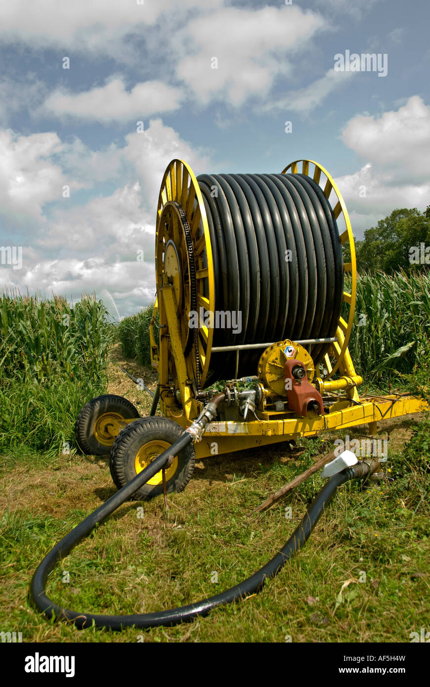 Bewässerung. Trailer Rollen-/uncurler Sprinkler in einem Maisfeld. Charente-Maritime. Frankreich. Stockfoto