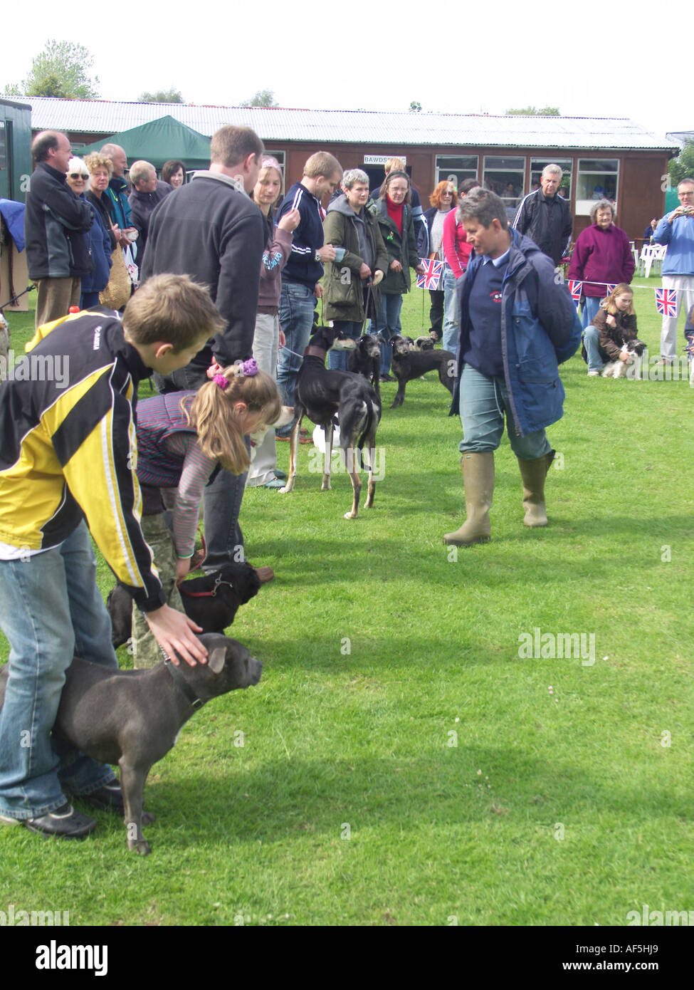 Hundeausstellung im Dorf Land Sommerfest England Stockfoto