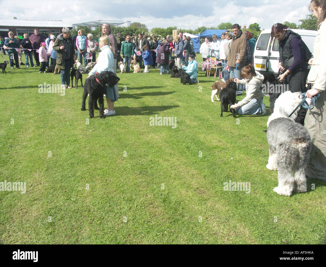 Hundeausstellung im Dorf Land Sommerfest England Stockfoto