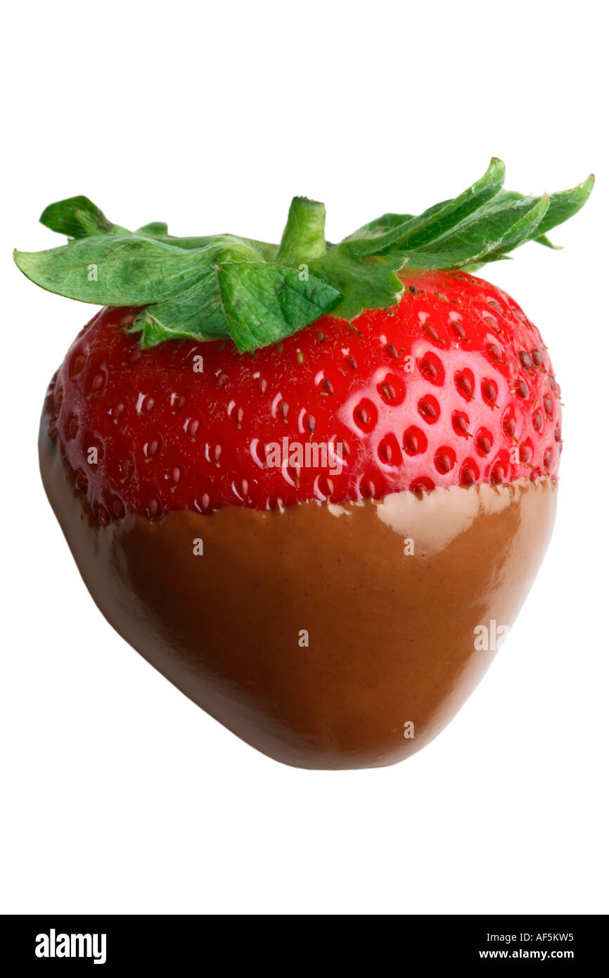 Schokolade getauchte Erdbeeren Stockfoto