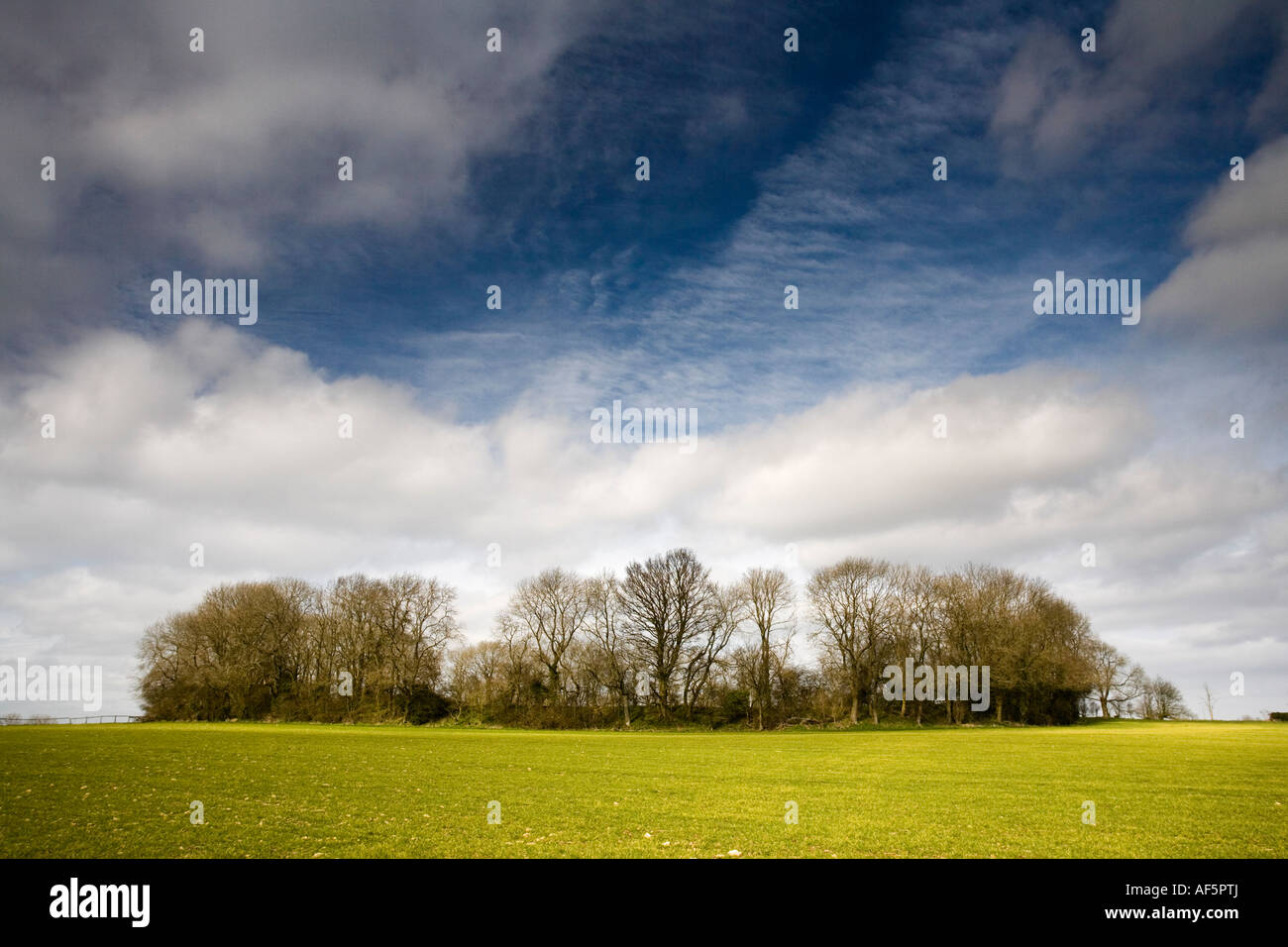 Chastleton Camp, ein Eisenzeit Fort in der Nähe von Chastleton Manor, Cotswolds, UK Stockfoto
