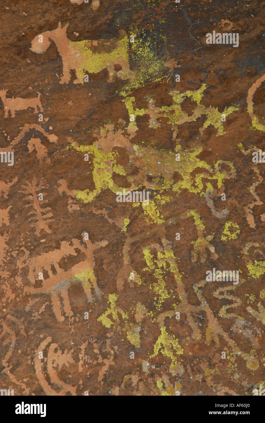 Indianische Petroglyphen von Tieren, Menschen und spirituellen Symbole, V bar V Welterbe-Aufstellungsort, in der Nähe von Sedona, Arizona Stockfoto