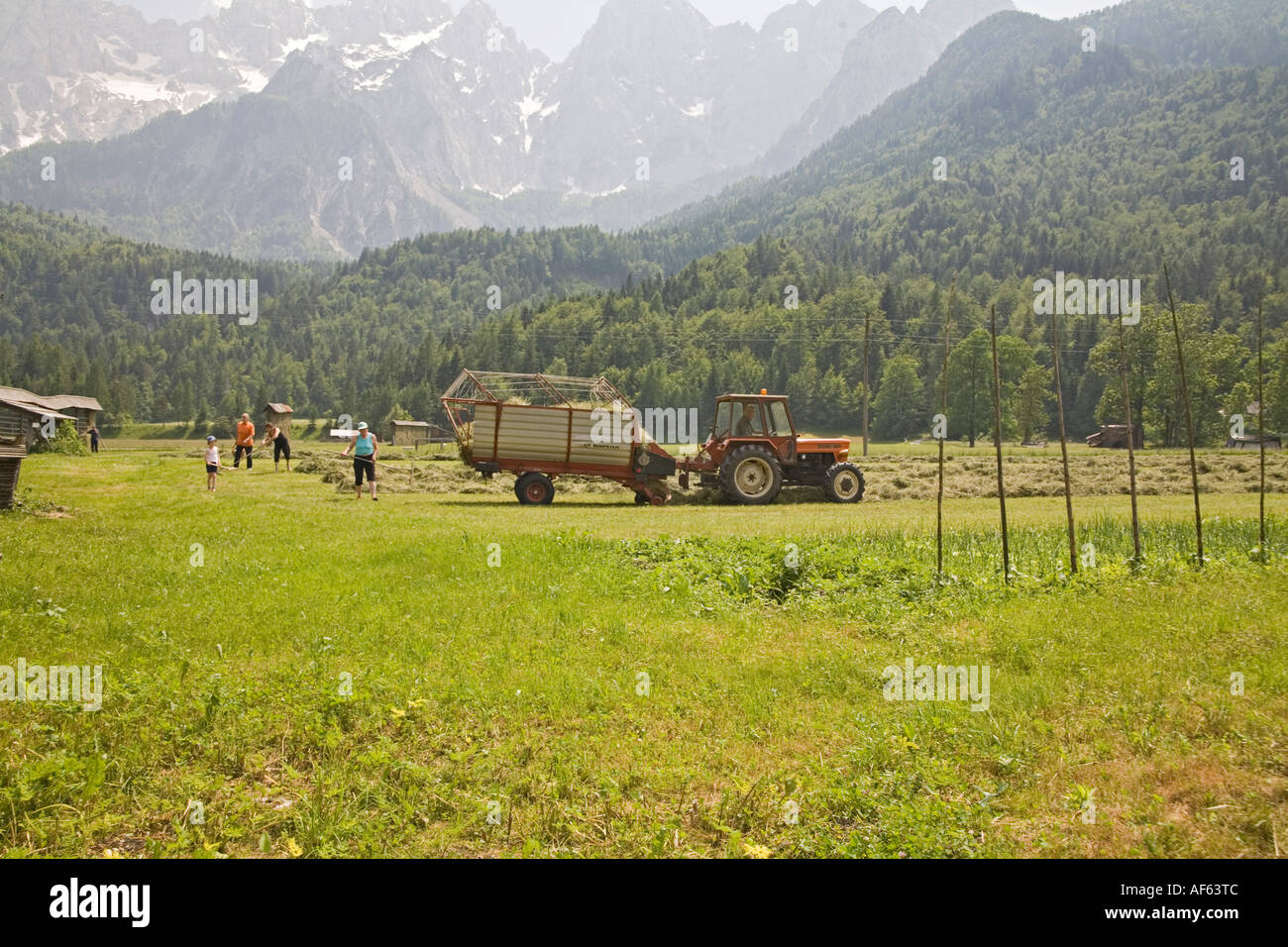 Slowenien Europäische UNION Juni Bauer und seine Familie vor kurzem Heu zu sammeln Stockfoto