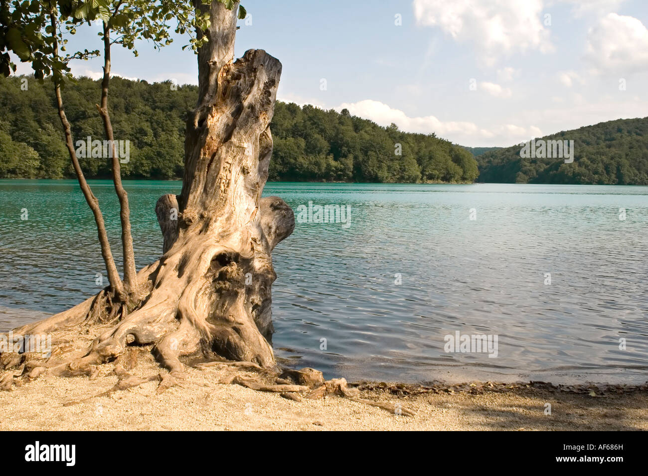 Kroatien-grünen See mit große Haken Stockfoto