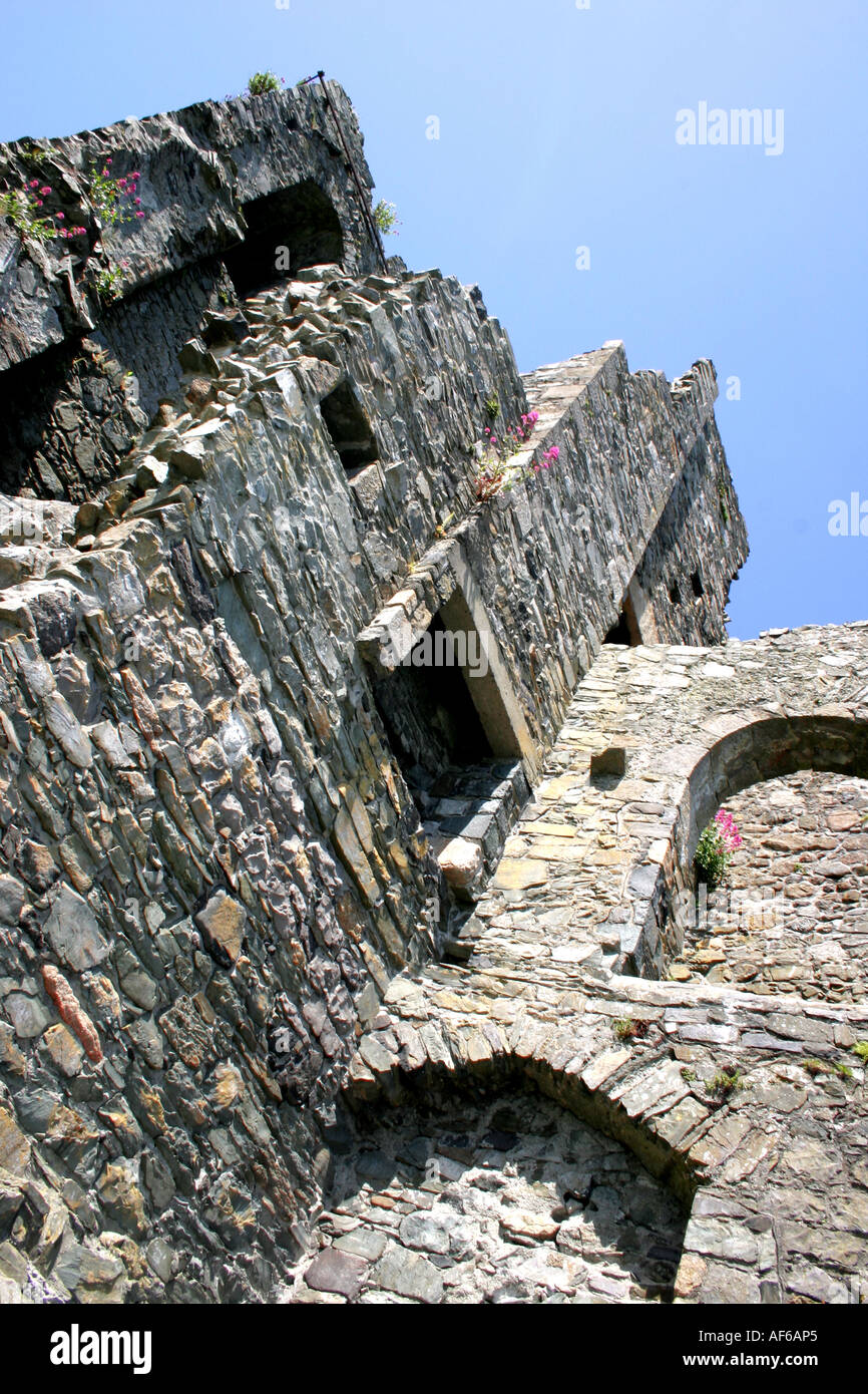 Runis von König Johns Castle, Carlingford, County Louth, Irland Stockfoto