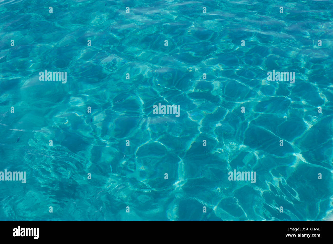 Blau gesprenkelt Mittelmeer Wasser kleine Fische Paleochora Kreta Stockfoto
