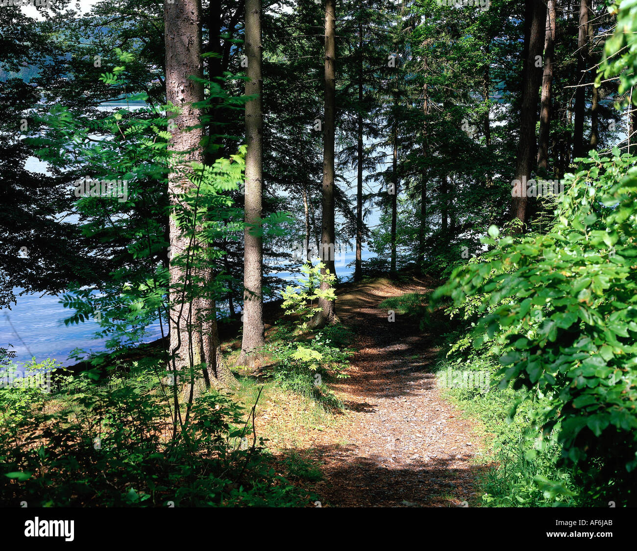 Homert See sorpesee -Fotos und -Bildmaterial in hoher Auflösung – Alamy