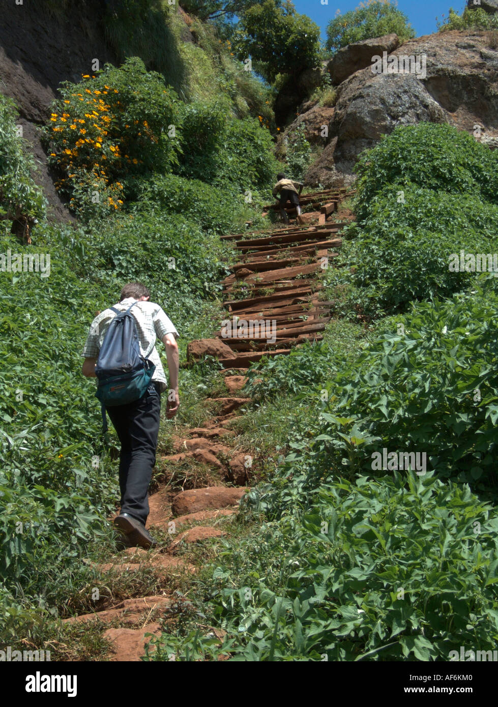 An den Hängen des Mount Elgon, östlichen Uganda Trekking Stockfoto