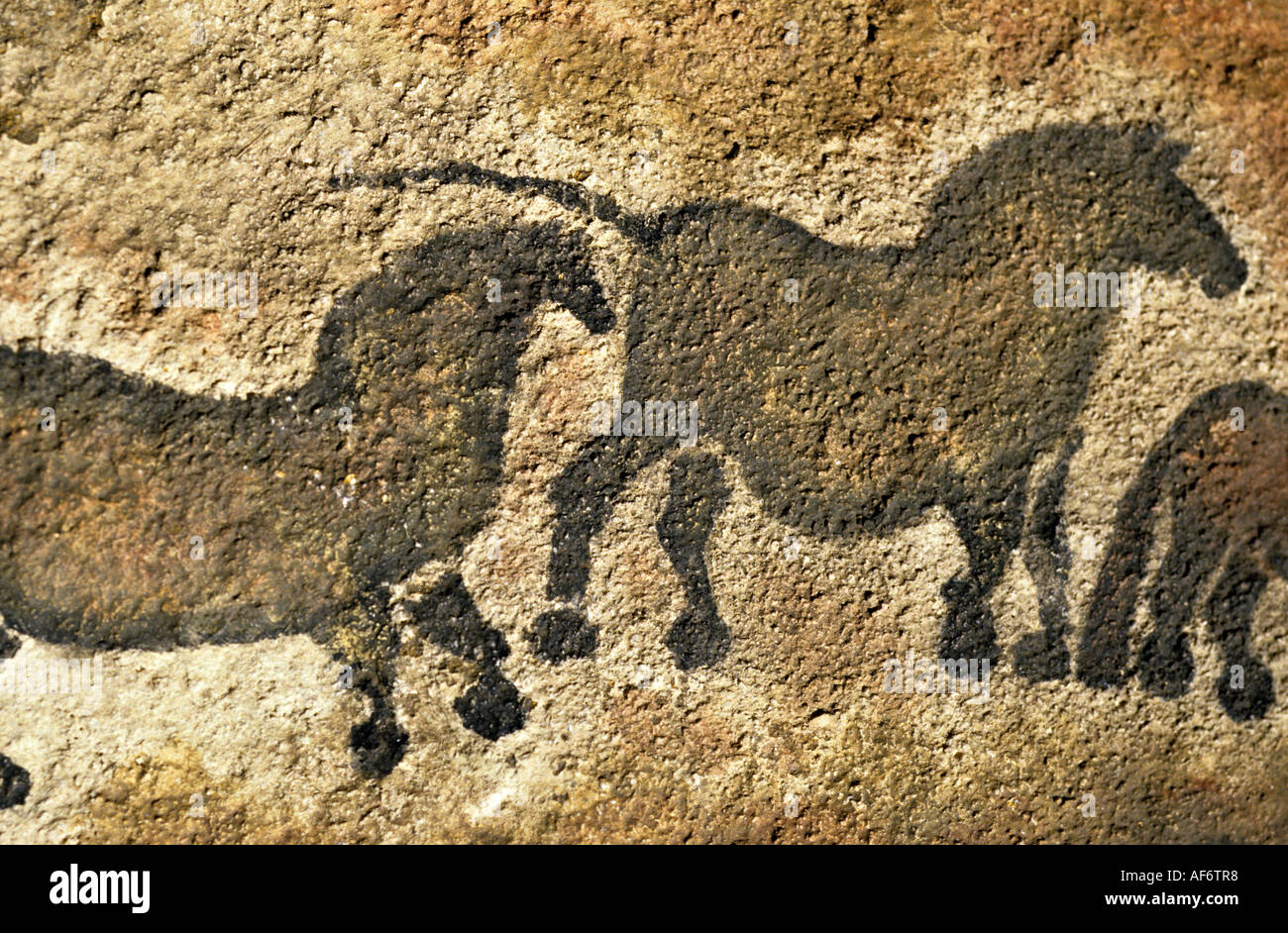 Replik-Gemälde von Pferden auf Stein von Höhlenmalereien in Lascaux Höhle Montignac Dordogne Frankreich Stockfoto
