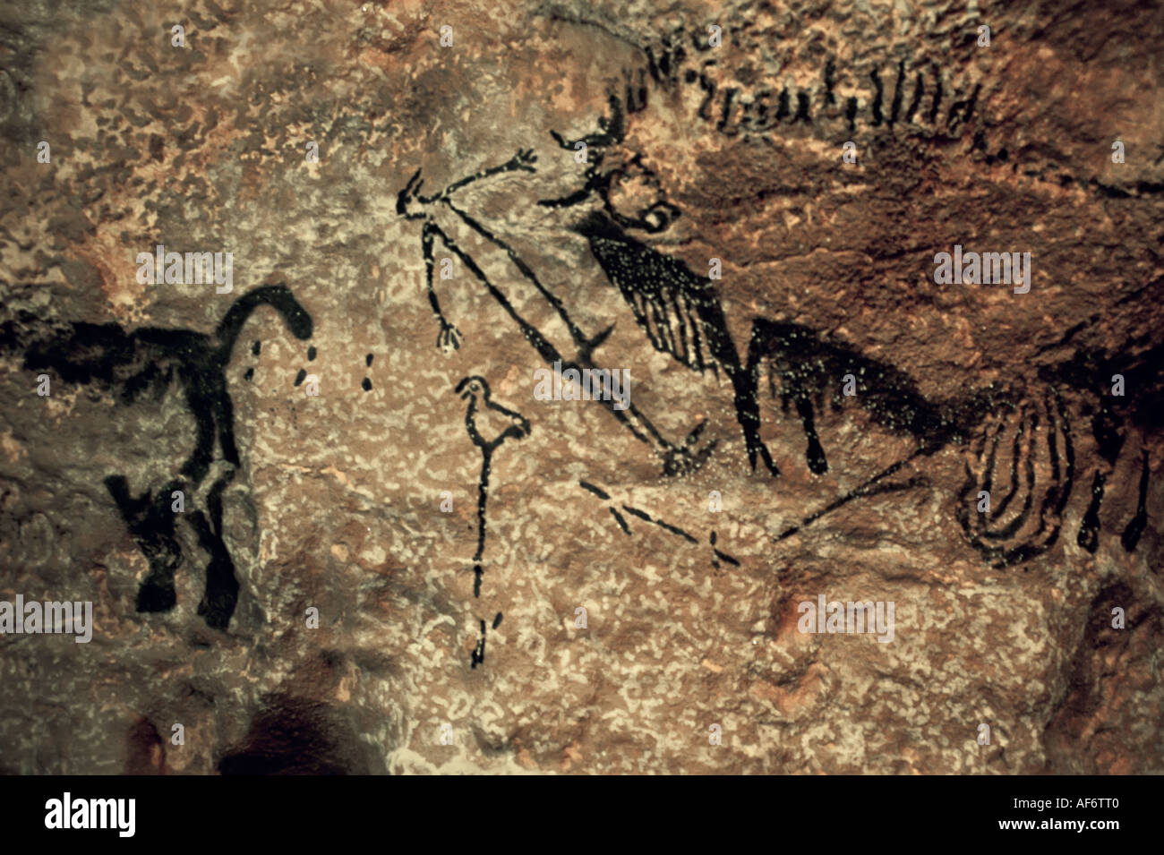 Replikat malen Höhlenkunst der Tiere und Vogel auf Stick mit Menschen- und Bison Höhle von Lascaux in Le Thot Montignac Dordogne Frankreich Stockfoto
