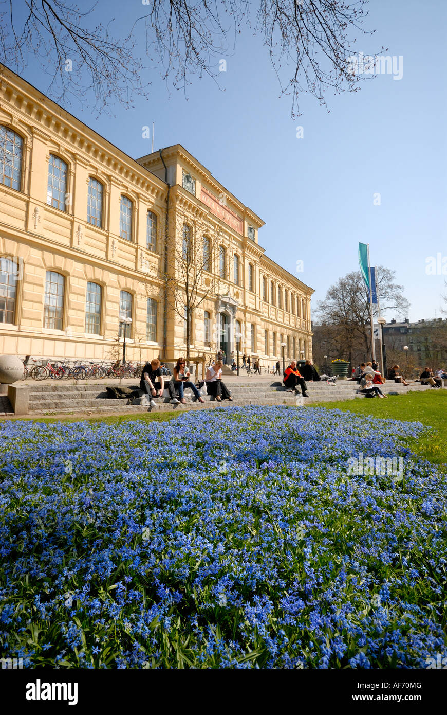 Blüte in Townpark Humlegården, Stockholm, Schweden Stockfoto