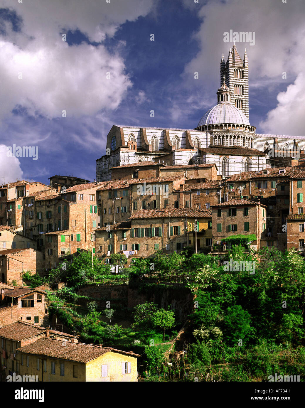 ES - TUSCANY: Die Kathedrale & Stadt Siena Stockfoto