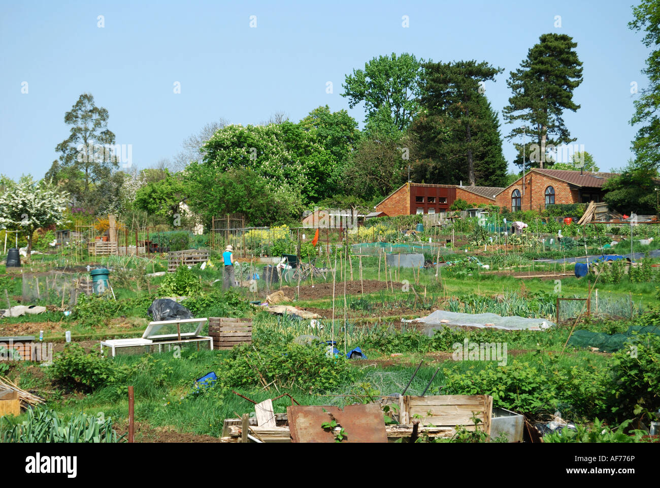 Eine Zuteilung am Hang, Oxford, Oxfordshire, England, Vereinigtes Königreich Stockfoto