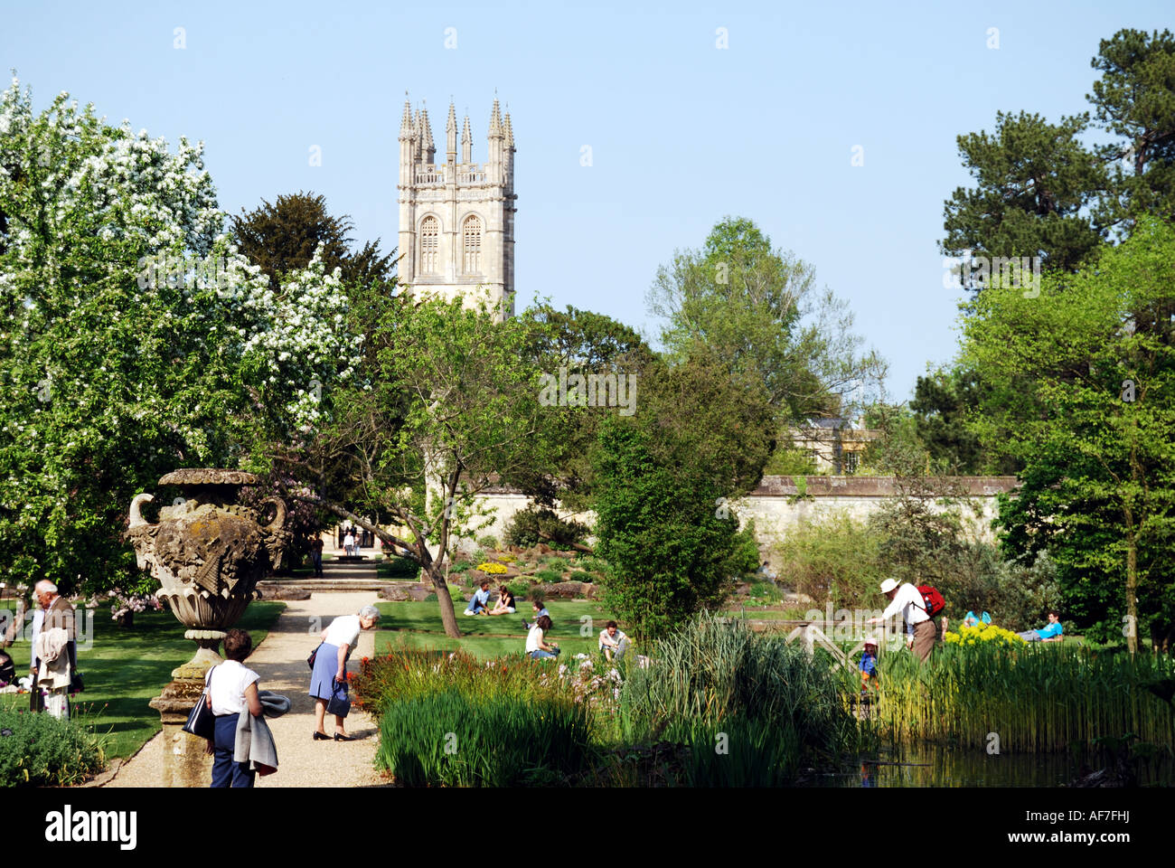 Die botanischen Gärten der Universität Oxford, Oxford, Oxfordshire, England, Vereinigtes Königreich Stockfoto