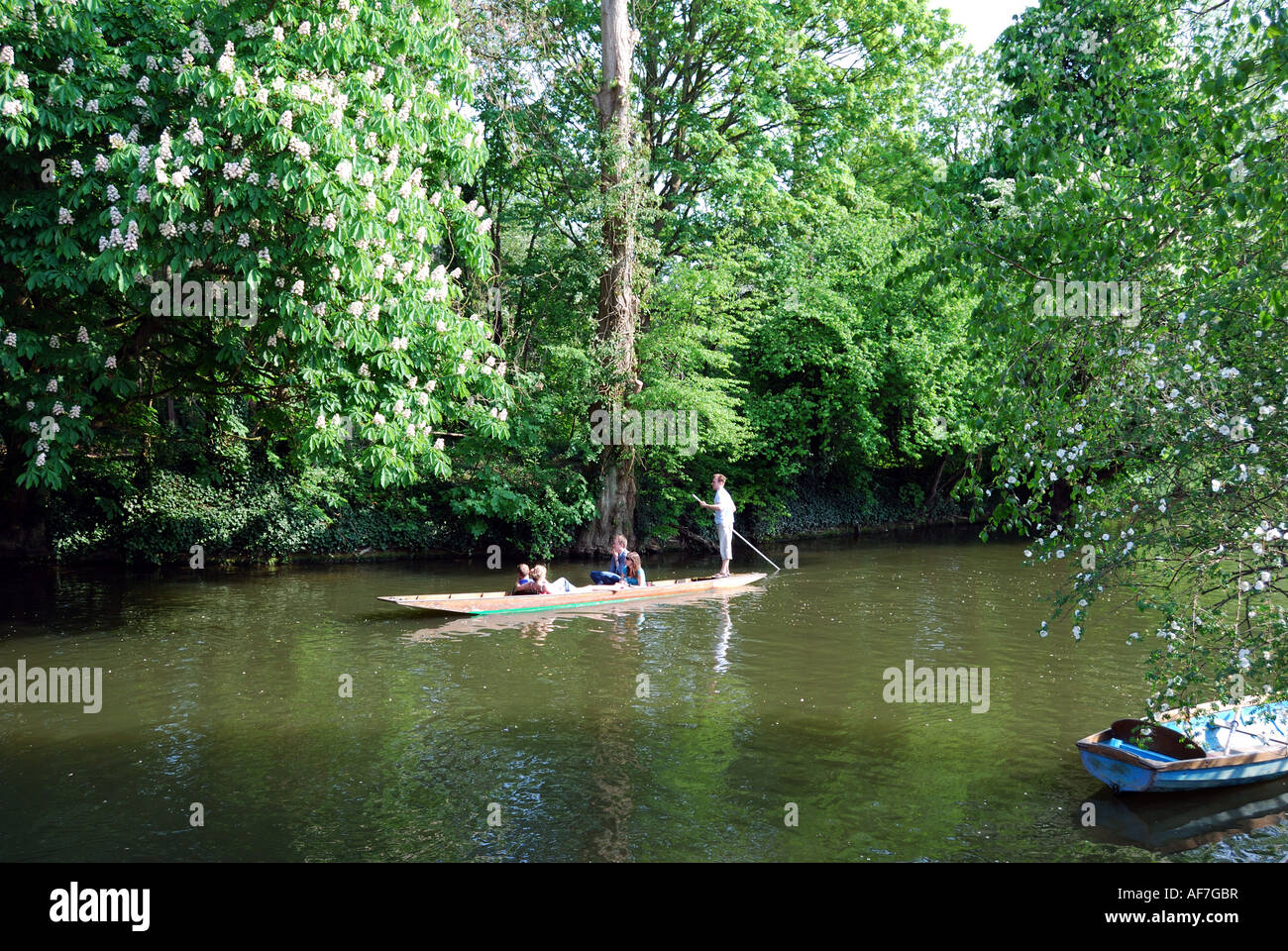 Studenten Stechkahn fahren am Fluss Cherwell, Oxford, Oxfordshire, England, Vereinigtes Königreich Stockfoto