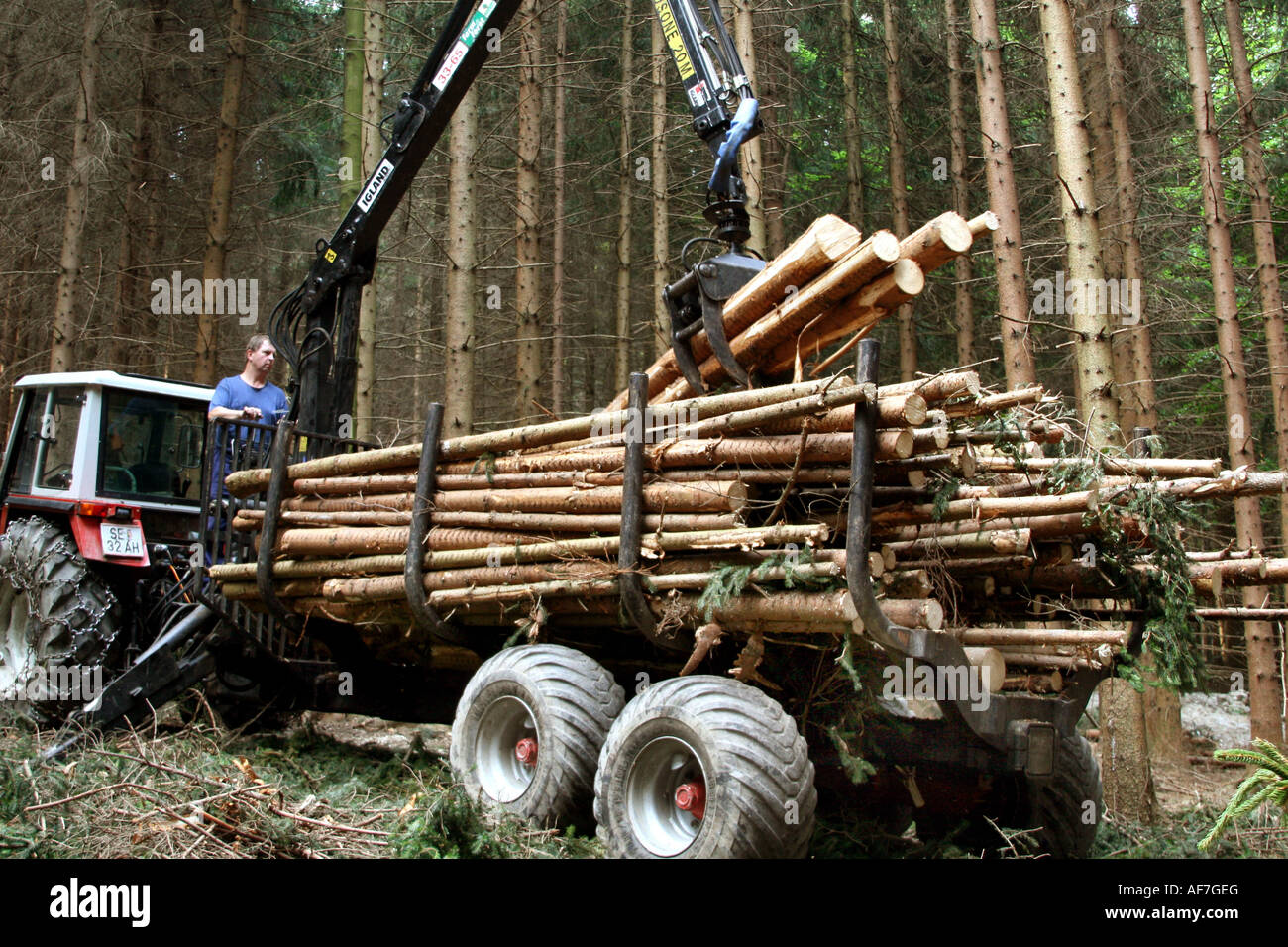 Holzhandel Stockfoto