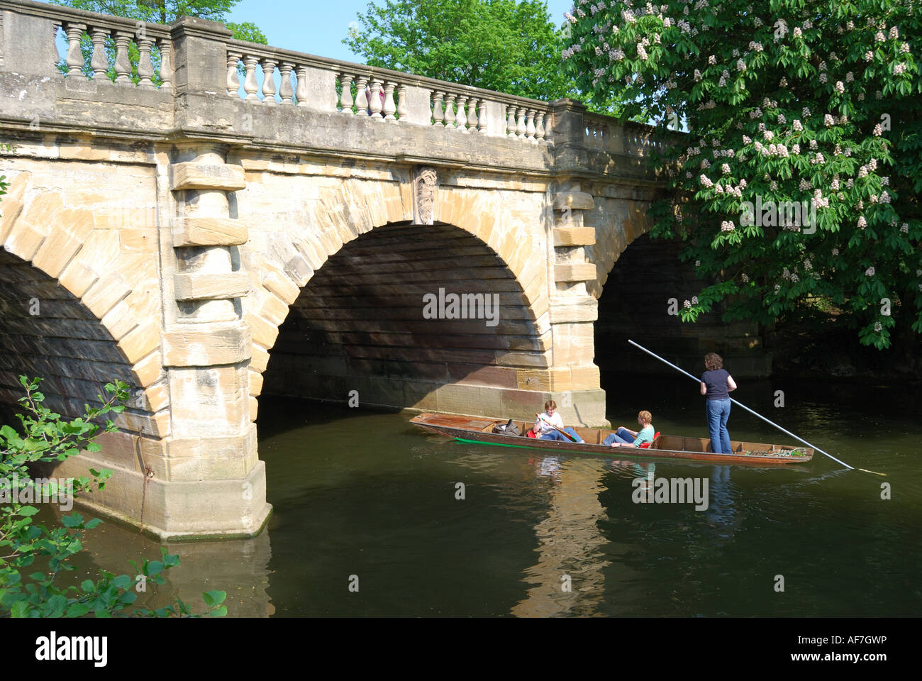 Stechkahn fahren unter Magdalena Brücke am Fluss Cherwell, Oxford, Oxfordshire, England, Vereinigtes Königreich Stockfoto