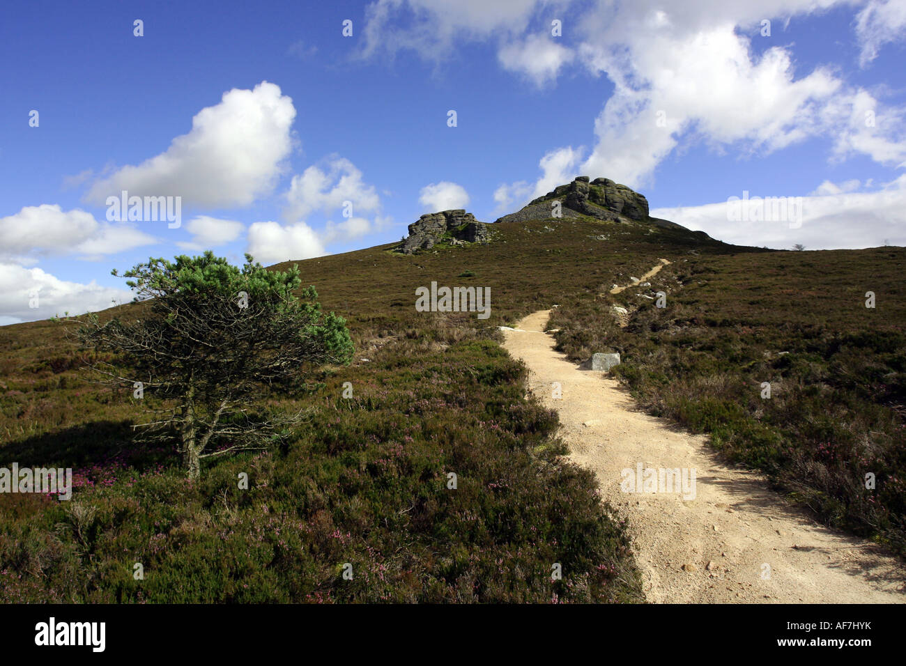 Die O' Tippen Sie oben auf dem Berg Bennachie in der Nähe von Inverurie, Aberdeenshire, Schottland, UK, zeigt den Granit-Stecker Stockfoto