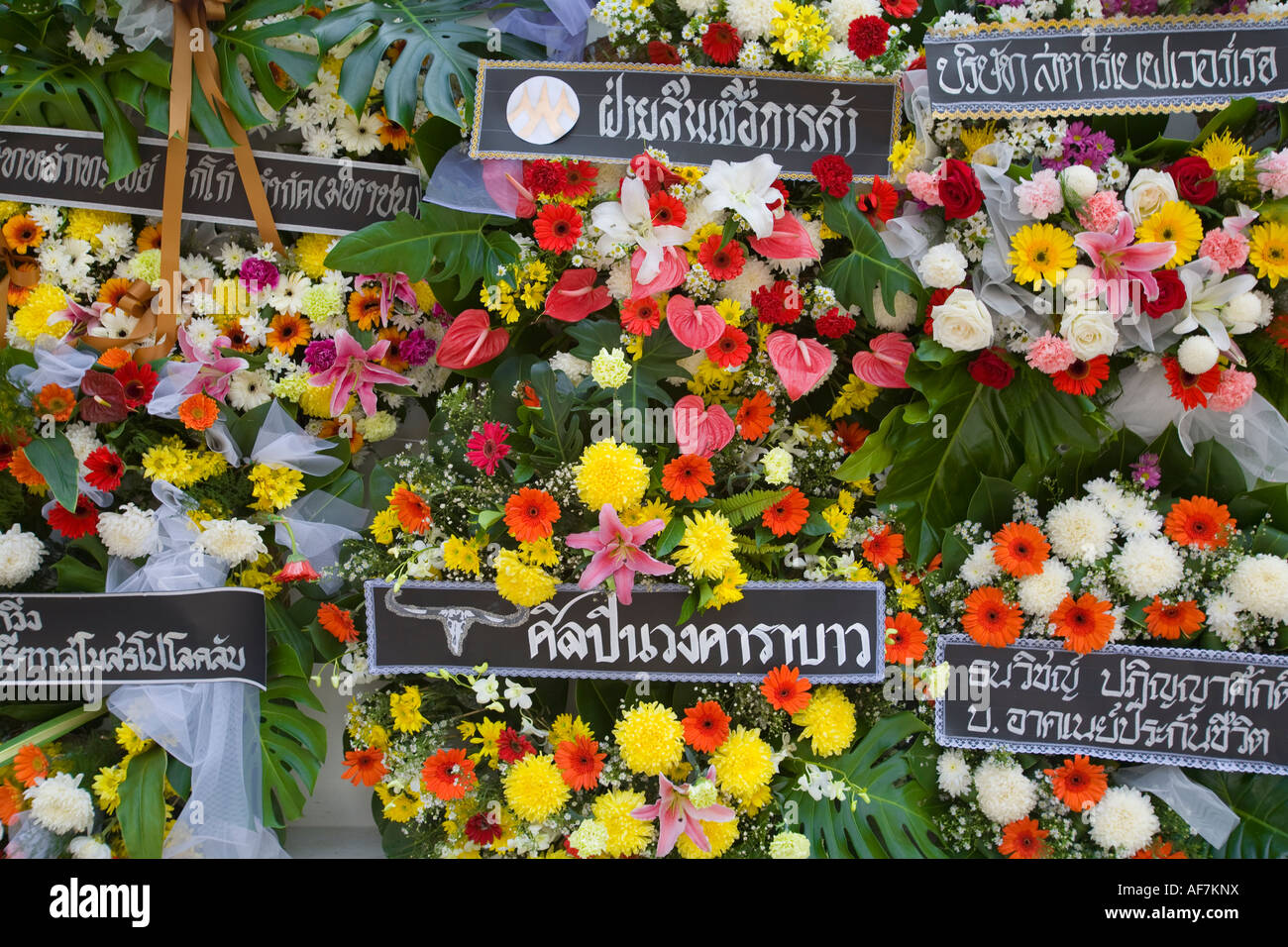 Trauerfloristik Wat Po Temple des Reclining Buddha Bangkok Thailand Stockfoto