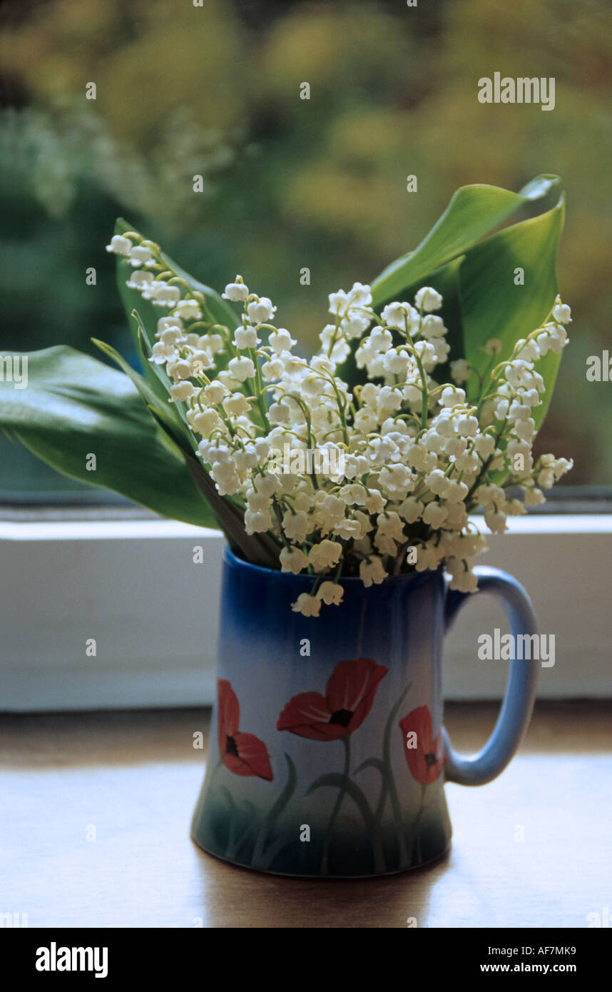 Maiglöckchen Schnittblumen in eine Vase auf der Fensterbank Stockfotografie  - Alamy