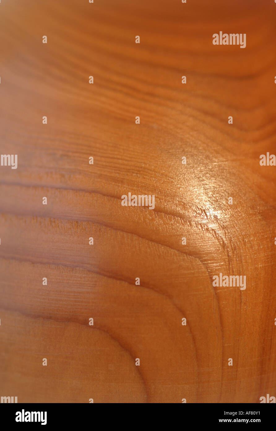 Ein Stock Foto ein glattes Stück Holz Stockfoto