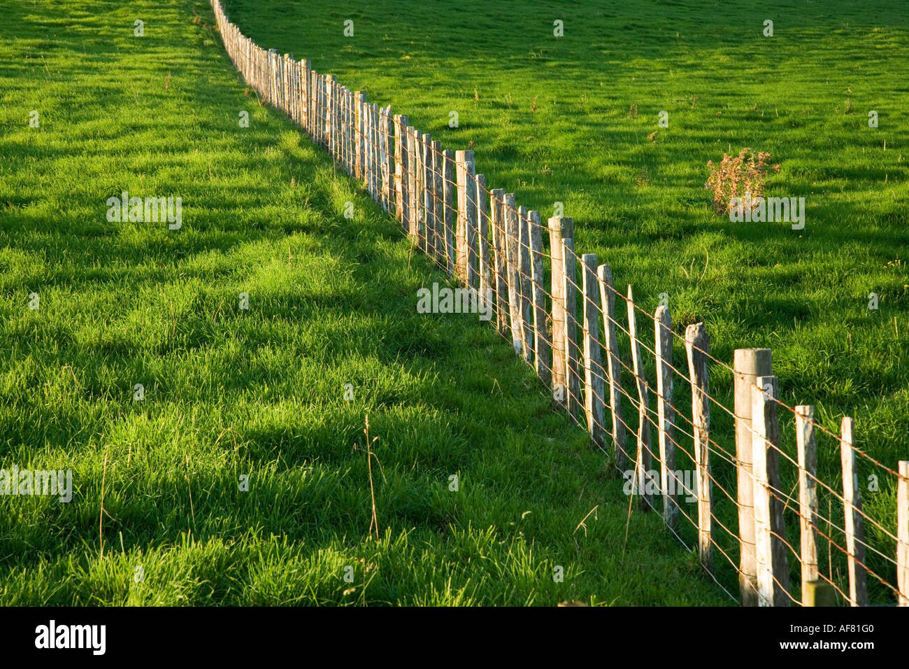 Zaun und Fahrerlager in der Nähe von Wanganui Nordinsel Neuseeland Stockfoto