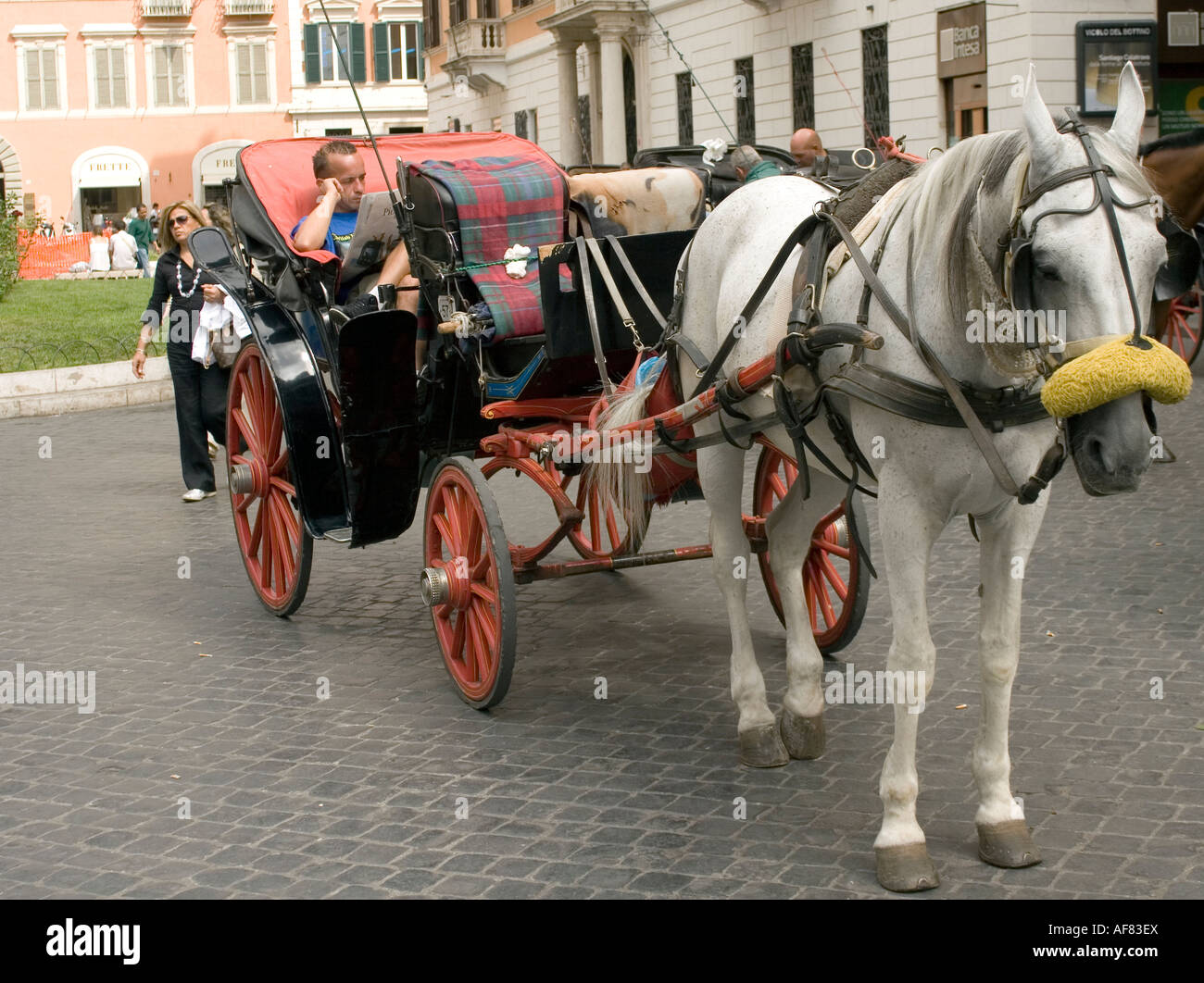 Pferd und Wagen Piazza Spagna Rom Stockfoto