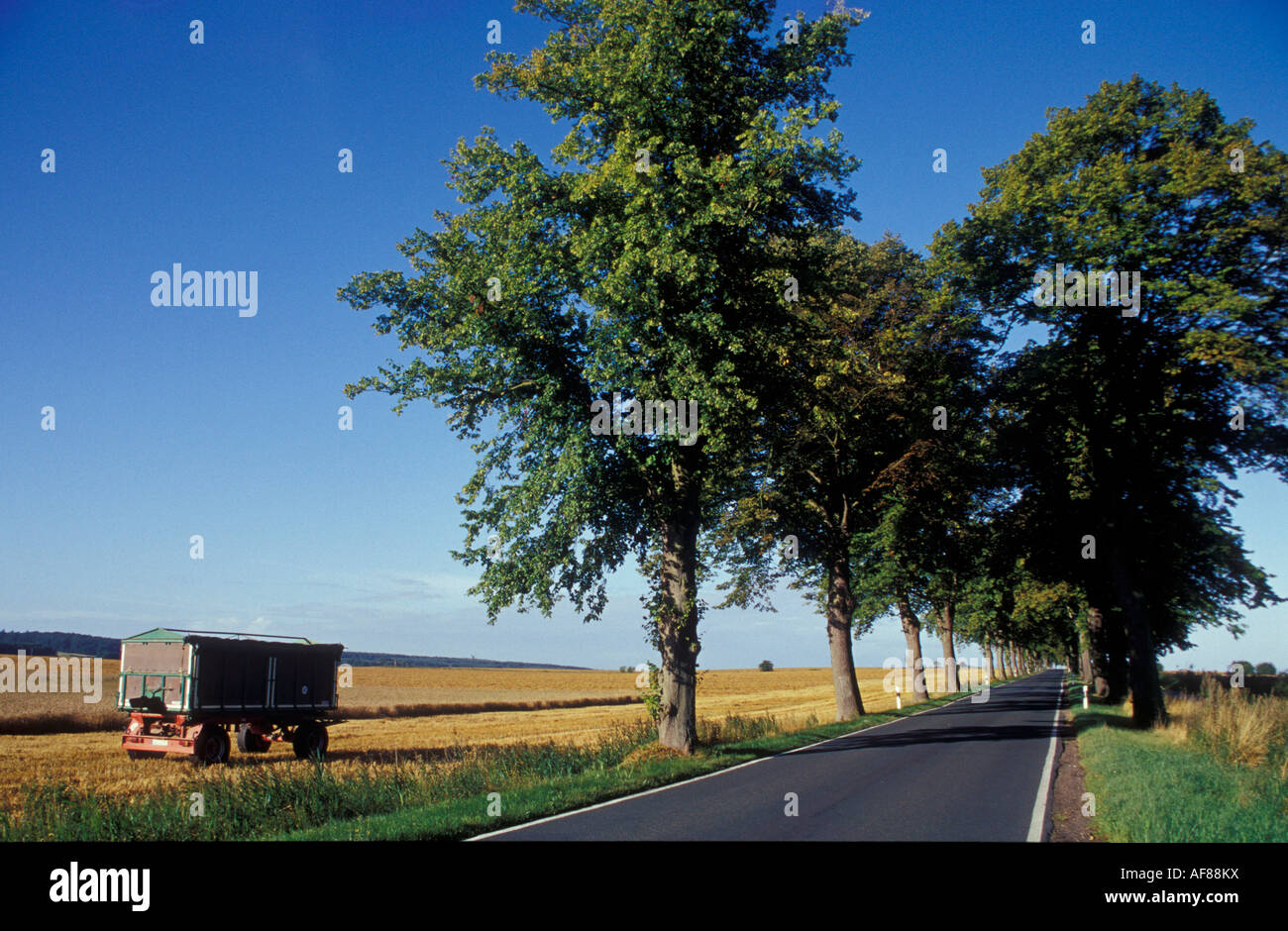 Landschaft in der Nähe von Malchin, Mecklenburg-Vorpommern, Deutschland, Europa Stockfoto
