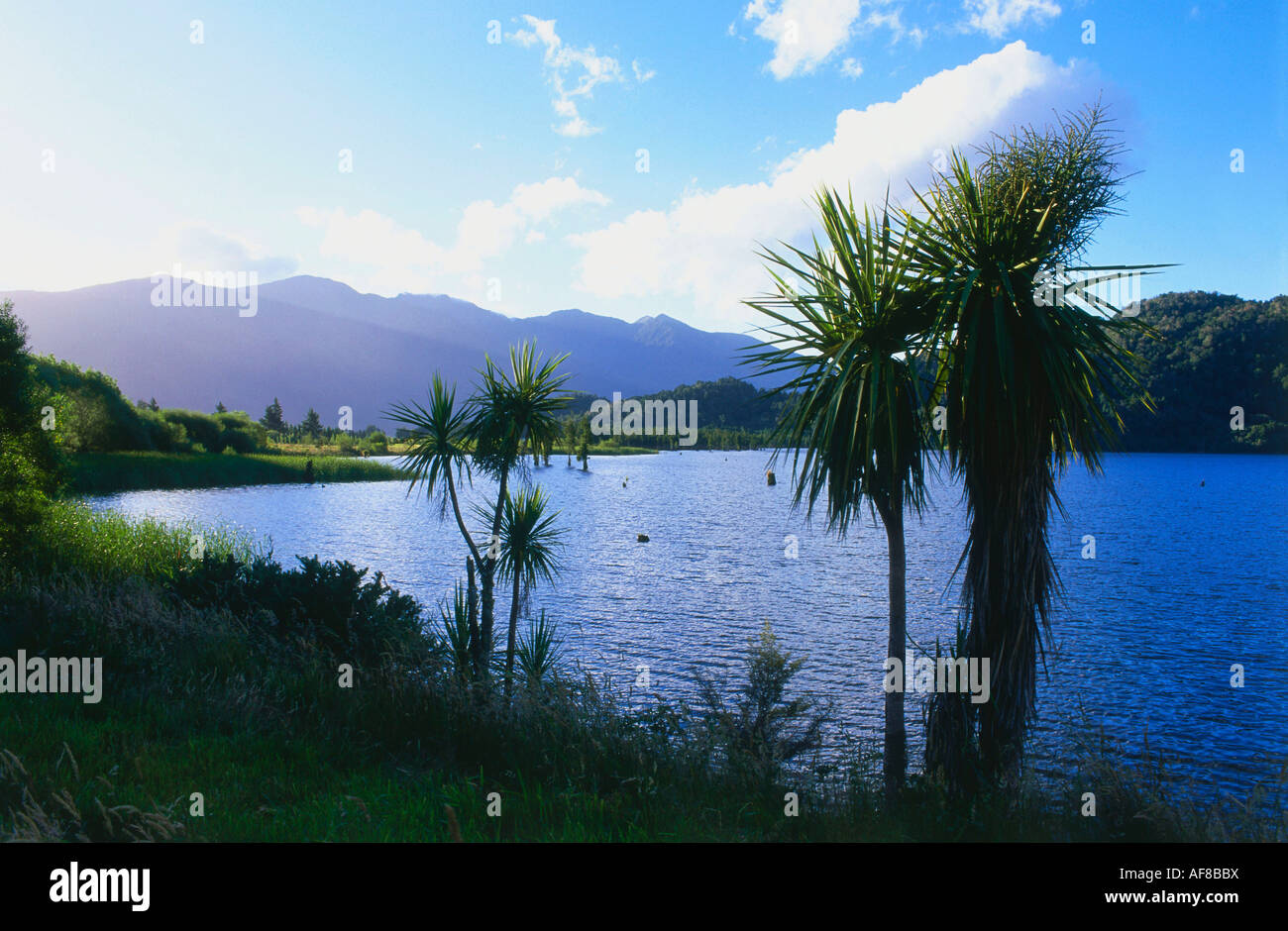 View of Lake Lyndon, Arthurs Pass, Südinsel, Neuseeland Stockfoto