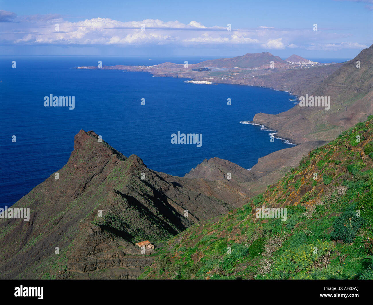 Anden Verde, Steilküste, landschaftlich schöne Strecke zwischen Agaete und San Nicolás de Tolentino, Galdar und Puerto de Las Nieves in der backg Stockfoto