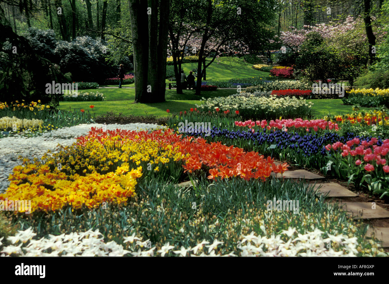 Keukenhof in Lisse, Niederlande, Europa Stockfoto