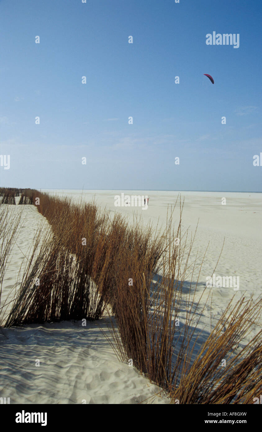Insel Texel, Niederlande, Europa Stockfoto