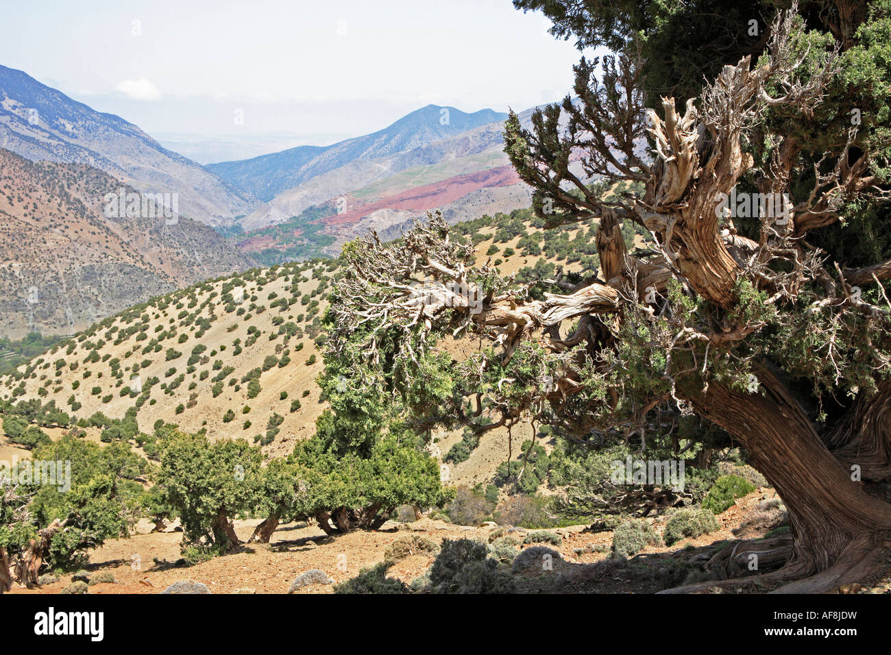 Blick auf Tizi Oussem, Toubkal Region, Atlasgebirge, Marokko, Nordafrika Stockfoto