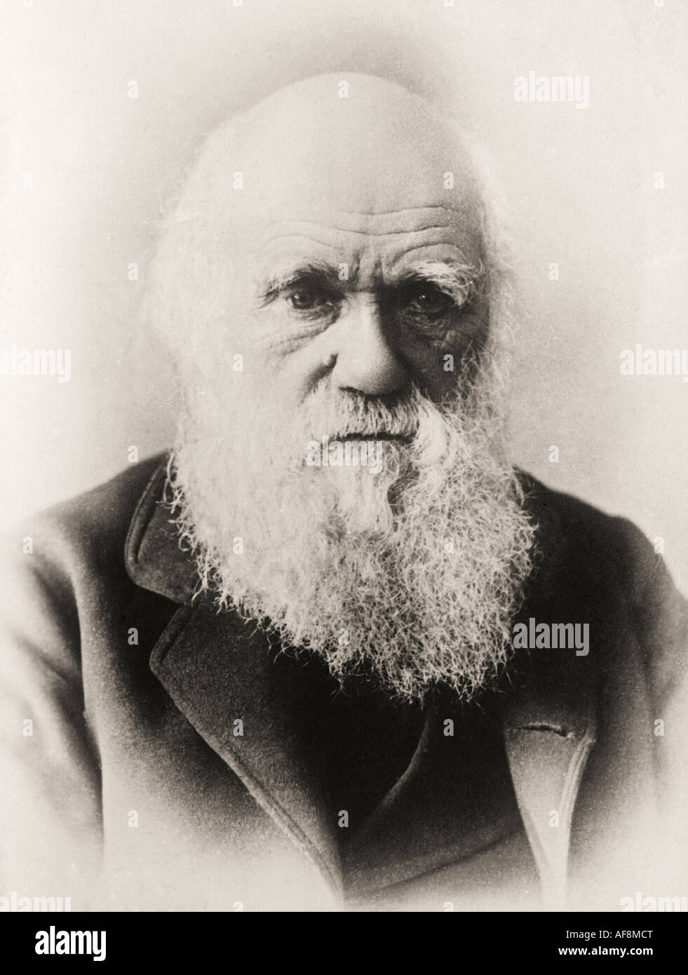 Charles Robert Darwin, 1809 – 1882. Englischer Naturforscher, Geologe und Biologe. Hier im Alter gesehen. Stockfoto