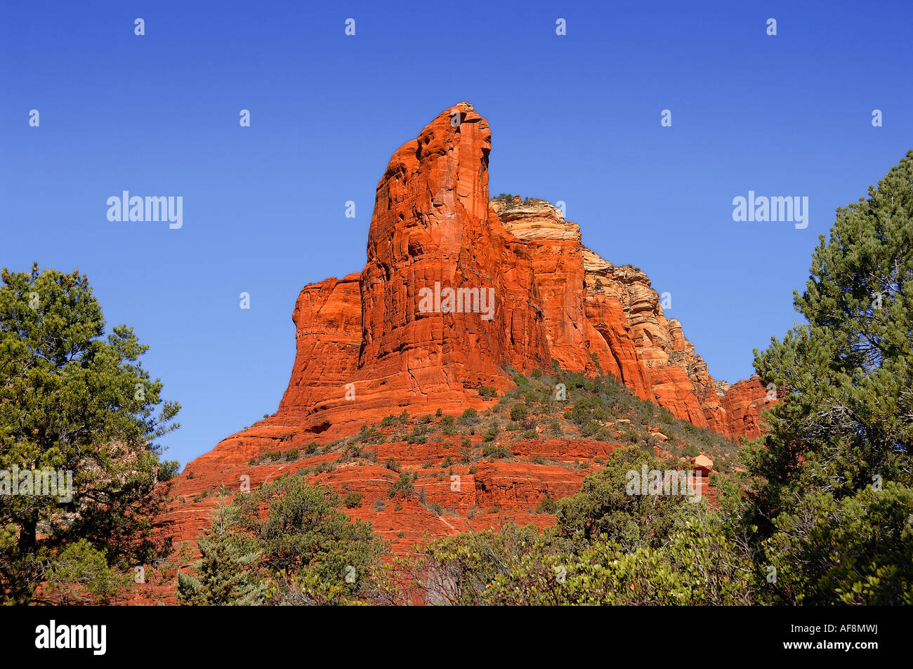 Rote Felsen entlang der Soldat Passweg, Sedona, Arizona USA Stockfoto