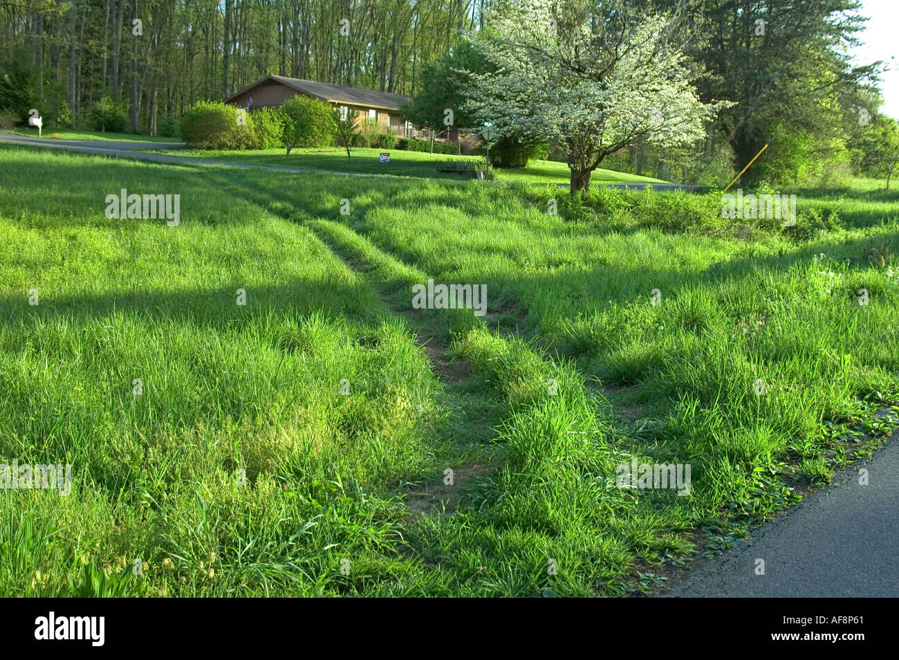 Abkürzung über Grass Ost-Tennessee Stockfoto