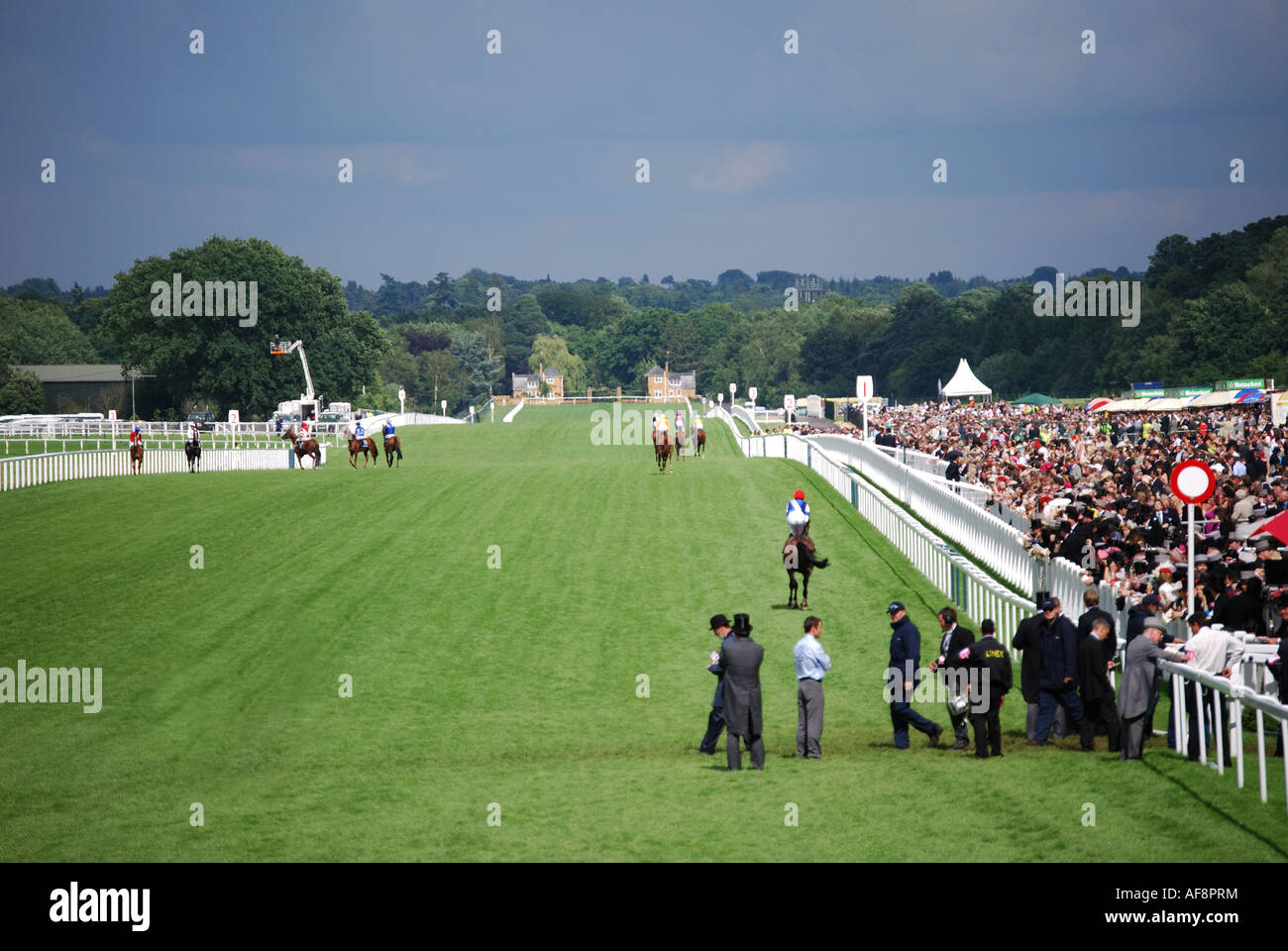 Pferde bewegen zu Tor ab, Royal Ascot-Meeting, Ascot Racecourse, Ascot, Vereinigtes Berkshire, England, Königreich Stockfoto