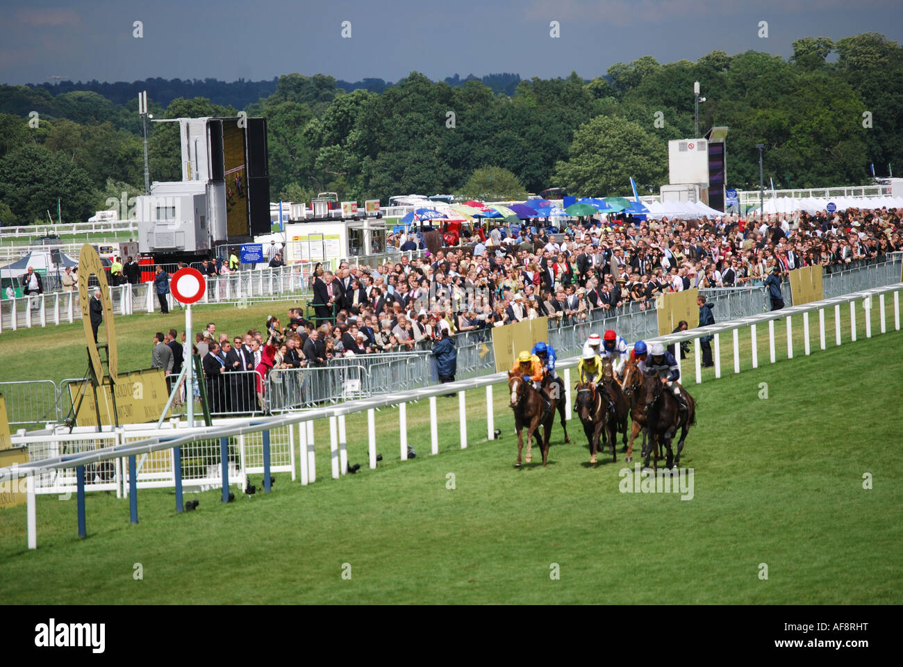 Rennpferde auf geraden, Winning Post, Royal Ascot-Meeting, Ascot Racecourse, Ascot, Vereinigtes Berkshire, England, Königreich Stockfoto