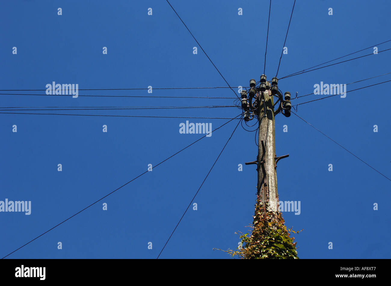 Ein Telegrafenmast gegen blauen Himmel, Devon uk Stockfoto