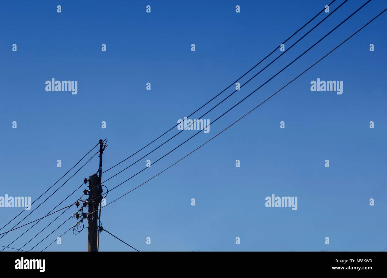 Ein Telegrafenmast gegen blauen Himmel, Devon uk Stockfoto