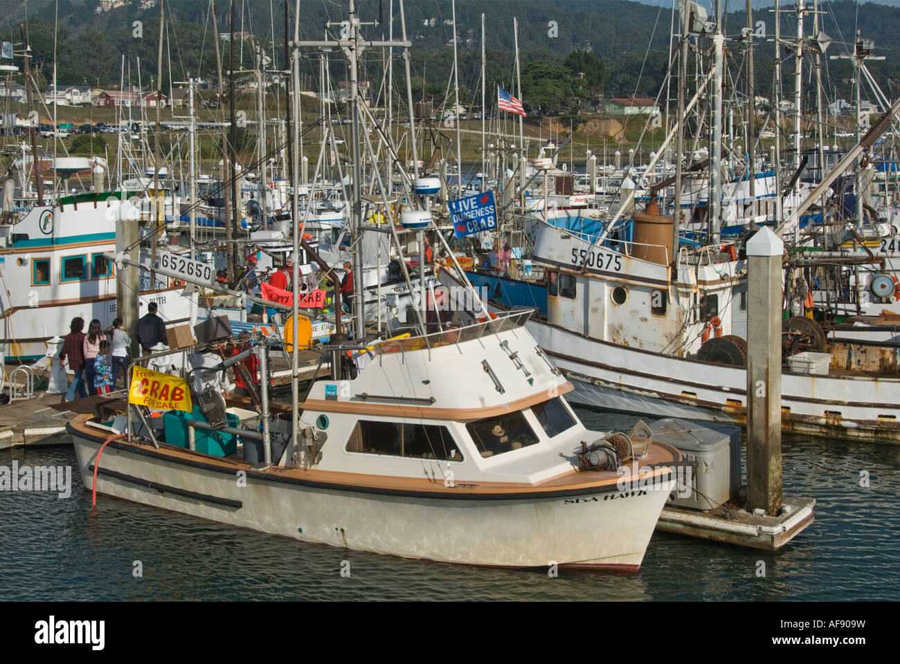 Kalifornien Half Moon Bay Princeton durch Kauf direkt von Krabbe Boot Meer Pillar Point Harbor-Retail-Kunden Stockfoto