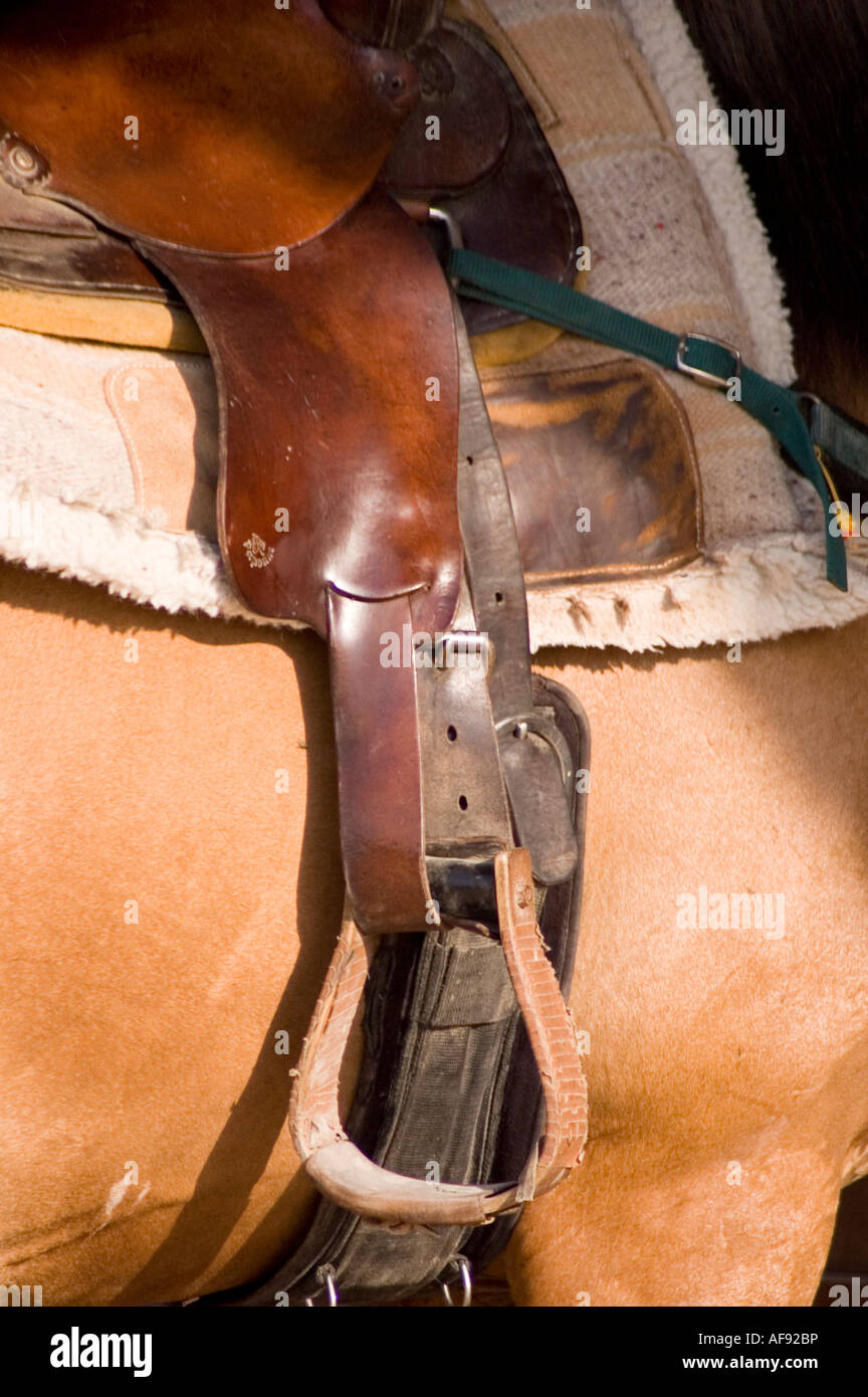 Leder und Fell Stockfoto